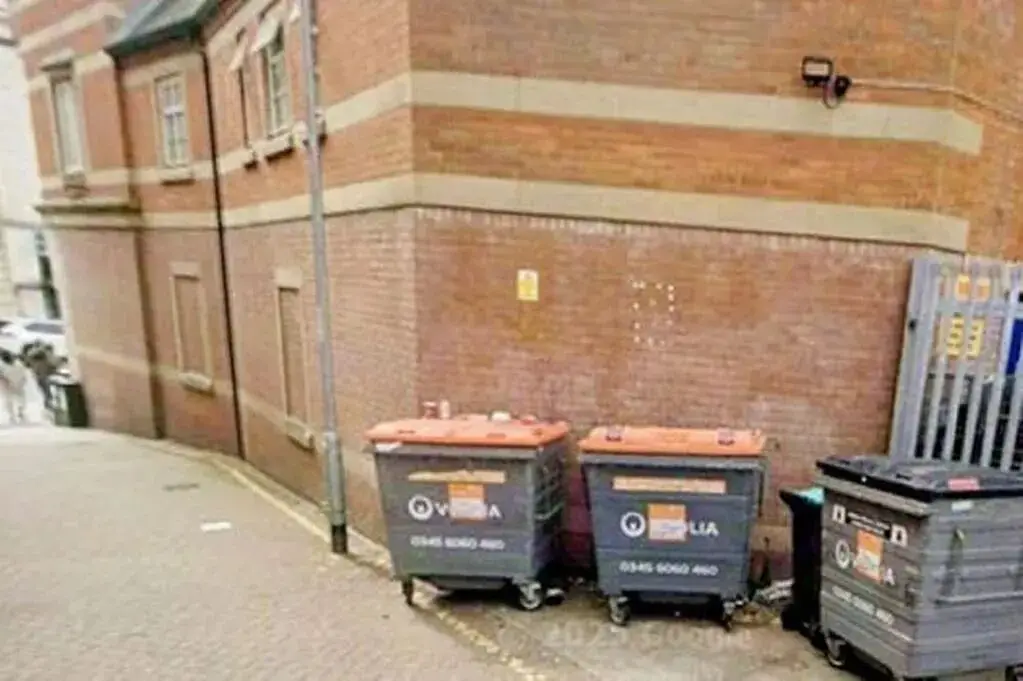 男子垃圾桶里睡觉，被倒入垃圾车后死亡